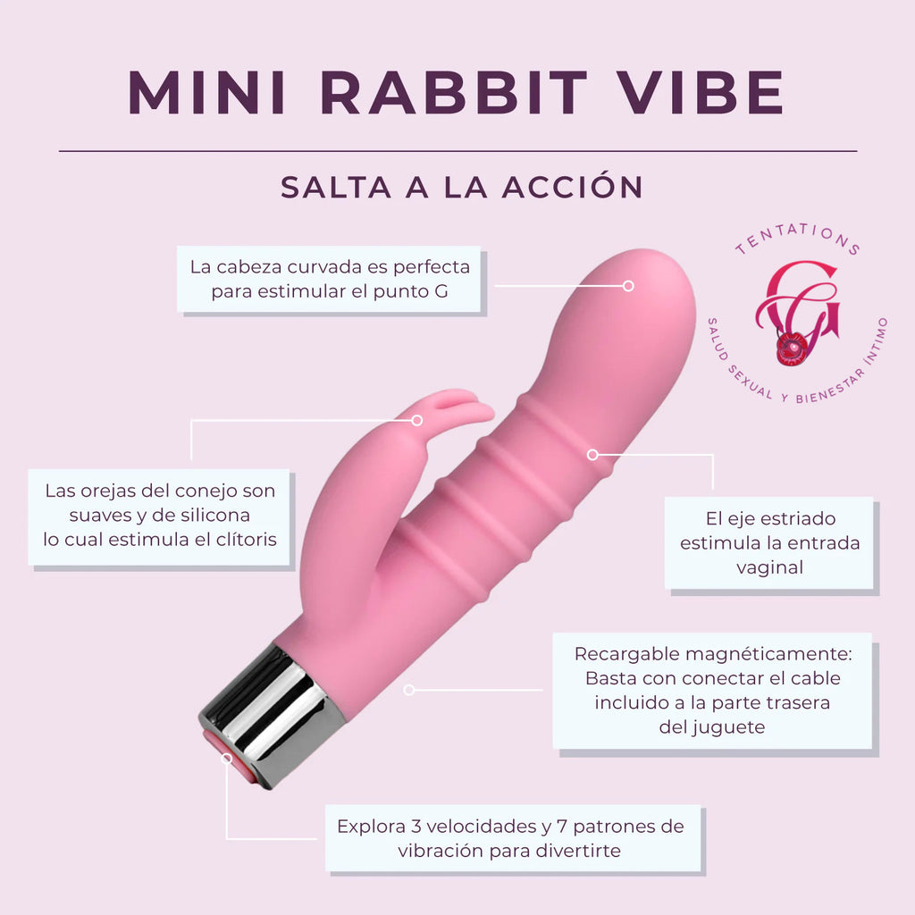 Mini Rabbit Vide