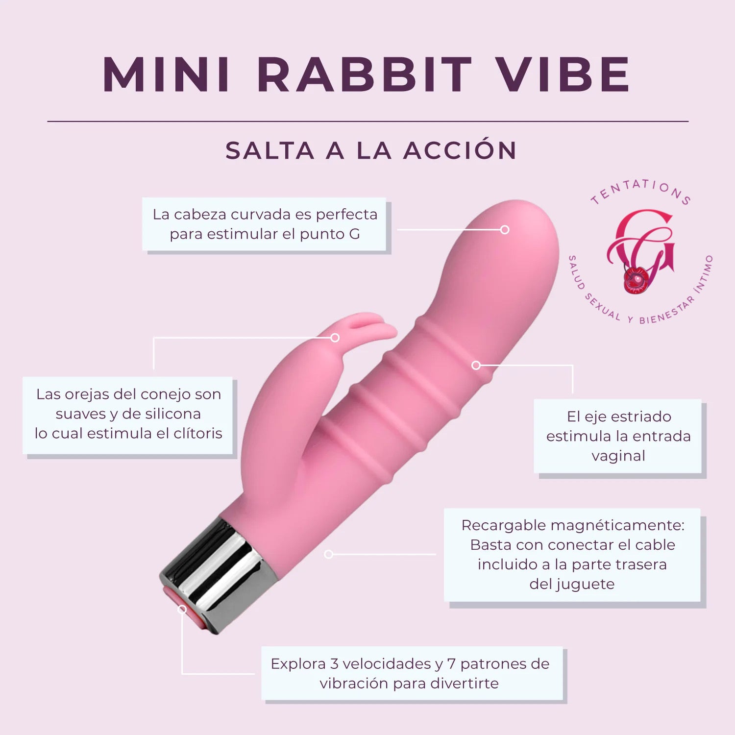 Mini Rabbit Vide